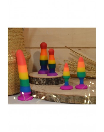 Plug anal multicouleur taille S