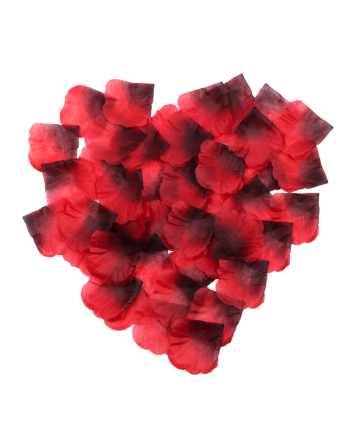 Pack de 100 Pétales de Rose