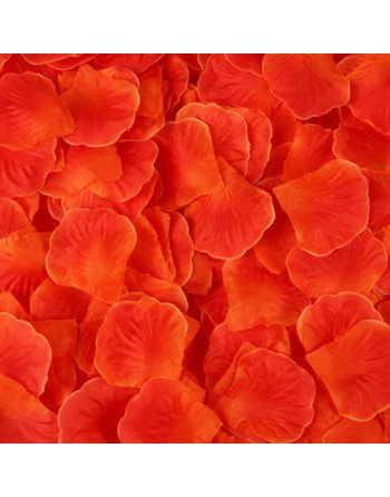 Pack de 100 Pétales de Rose