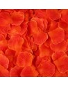 Pack de 100 Pétales de Rose