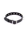 Collier réglable avec rivets en métal 