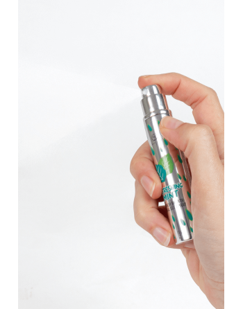 Spray Sexe Oral Menthe Haleine Fraîche 11gr Secret Play