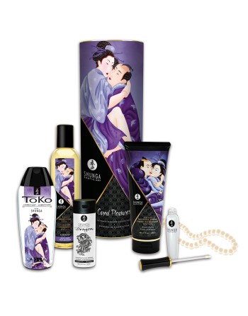 Coffret collection plaisirs charnels 5 produits Shunga  un collier de perles 