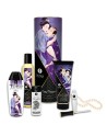 Coffret collection plaisirs charnels 5 produits Shunga  un collier de perles 
