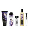 Coffret collection plaisirs charnels 5 produits Shunga  un collier de perles 