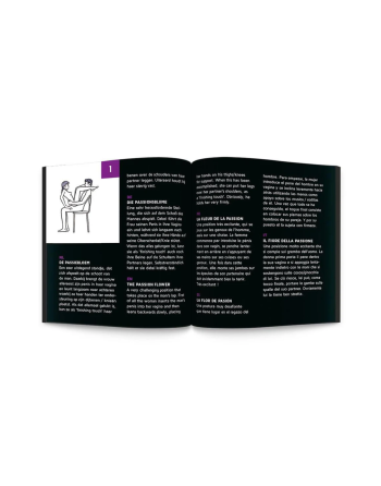 Jeu Sex Roulette 24 Positions Kamasutra 