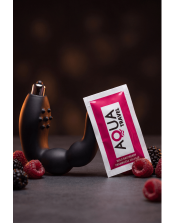 Stimulateur de Prostate Vibrant Noir  1 dosette lubrifiant — Pocket Pleasure
