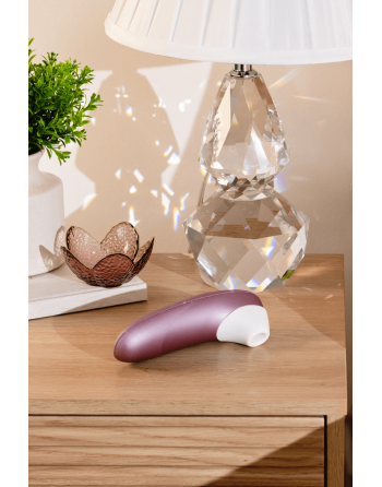 Stimulateur clitoridien sans contact  Pro violet 11 intensités – Womanizer