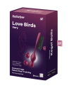 Boules de geisha vibrantes Satisfyer Love Birds Vary