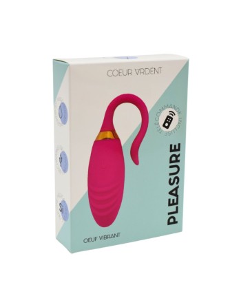 PLEASURE, Un Œuf vibrant USB avec télécommande, dans un silicone médical doux et rainuré