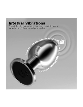 Plug vibrant acier inoxydable anal taille S avec télécommande, USB BOOTY