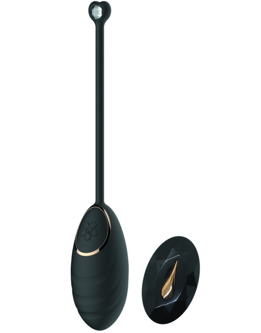 Œuf vibrant noir avec télécommande USB
