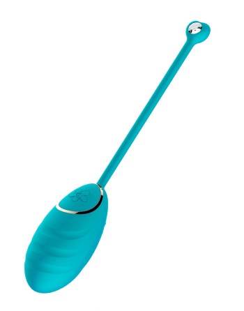 Œuf vibrant bleu avec télécommande USB