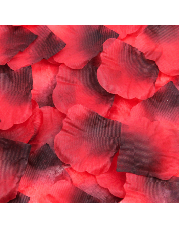 Pack de 100 Pétales de Rose