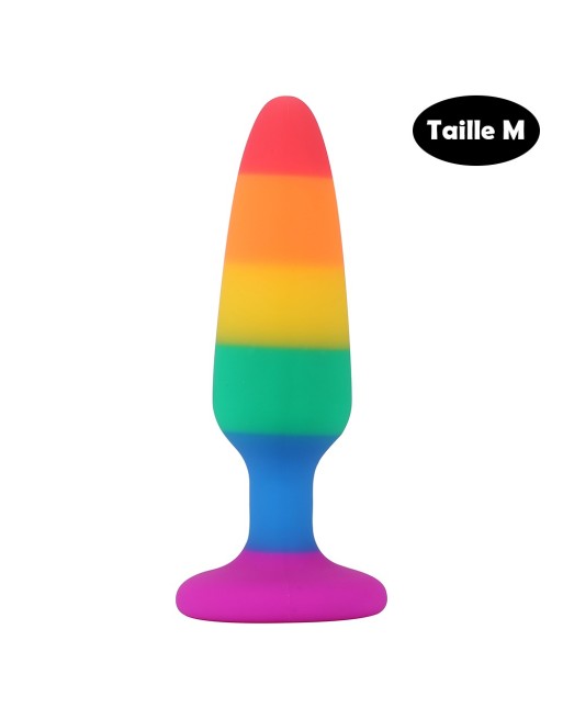 Plug anal multicouleur taille M 
