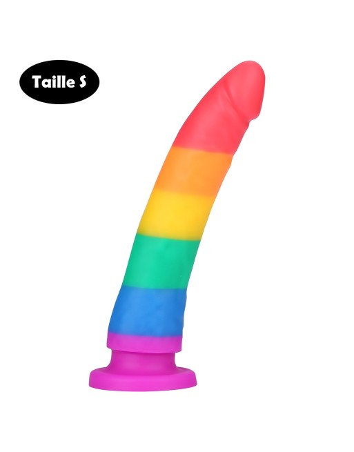 Gode ventouse multicouleur taille S 