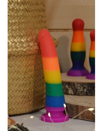 Gode ventouse multicouleur taille S 