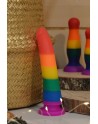 Gode ventouse multicouleur taille S 
