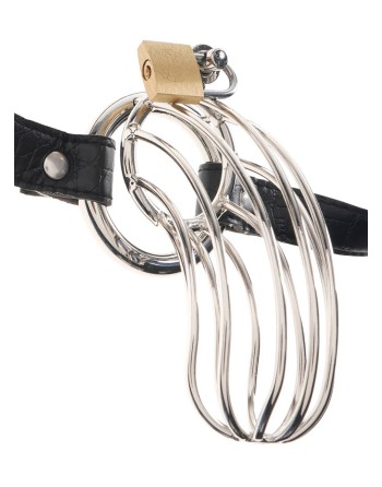 Cage de chasteté pour pénis The Prisoner 