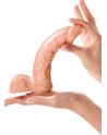 Gode réaliste grande longueur veiné avec testicules et ventouse 23cm 