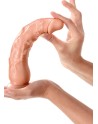 Gode plug réaliste grande taille avec ventouse 21cm 