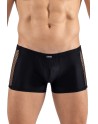 Boxer noir Daring