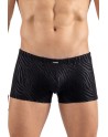 Boxer noir  gold Zebra 