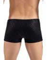 Boxer noir  gold Zebra 