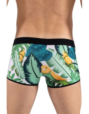 Boxer imprimé oiseau chanteur, Bird Singer 