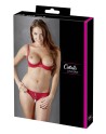 Soutien-gorge demi seins avec armatures et son string ouvert 